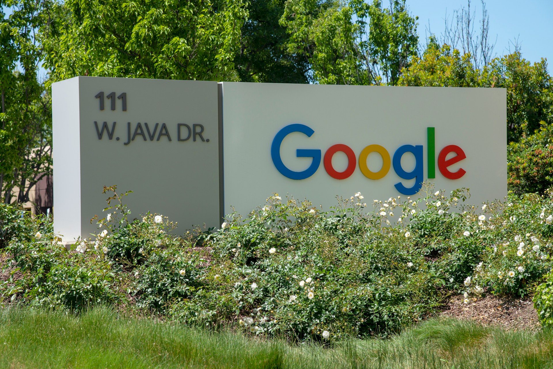 Becoming Richard Hendricks: How I Lost the Battle for my Favorite Project at Google